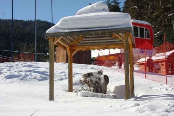 Ilgaz Yıldıztepe Kayak Merkezi 2015 Çerkeş Derneklerbirliği Gezisi