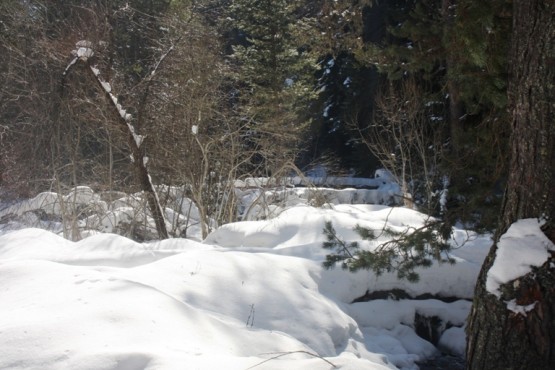 Ilgaz Yıldıztepe Kayak Merkezi 2015 Çerkeş Derneklerbirliği Gezisi
