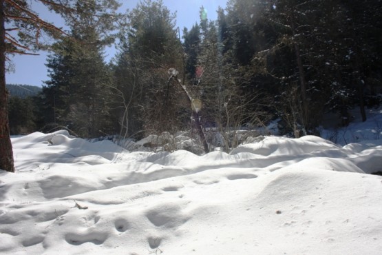 Ilgaz Yıldıztepe Kayak Merkezi 2015 Çerkeş Derneklerbirliği Gezisi