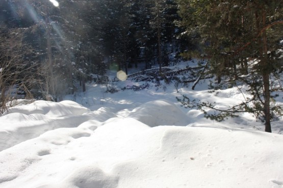 Ilgaz Yıldıztepe Kayak Merkezi 2015 Çerkeş Derneklerbirliği Gezisi