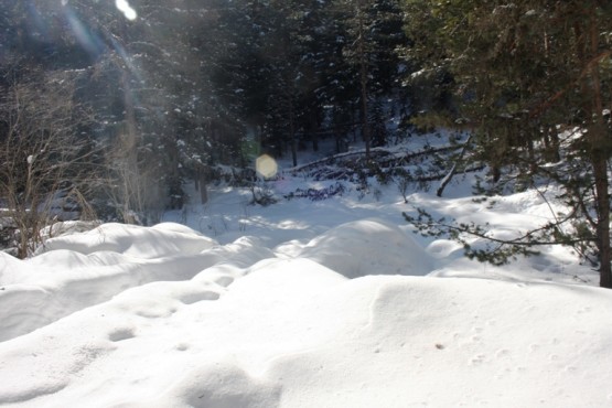 Ilgaz Yıldıztepe Kayak Merkezi 2015 Çerkeş Derneklerbirliği Gezisi