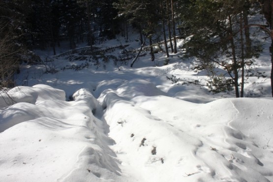 Ilgaz Yıldıztepe Kayak Merkezi 2015 Çerkeş Derneklerbirliği Gezisi