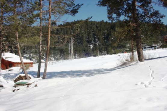 Ilgaz Yıldıztepe Kayak Merkezi 2015 Çerkeş Derneklerbirliği Gezisi