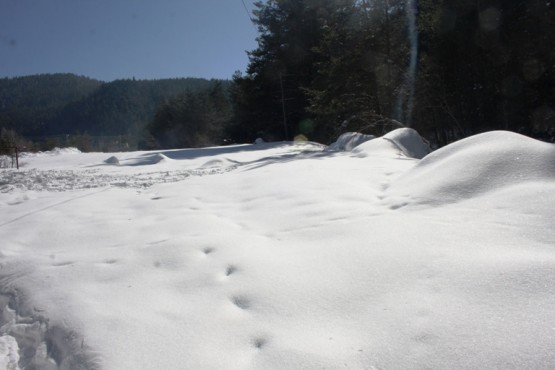 Ilgaz Yıldıztepe Kayak Merkezi 2015 Çerkeş Derneklerbirliği Gezisi