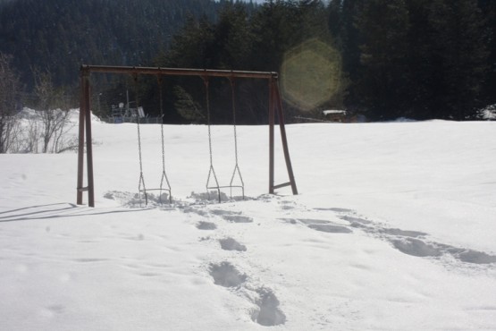 Ilgaz Yıldıztepe Kayak Merkezi 2015 Çerkeş Derneklerbirliği Gezisi