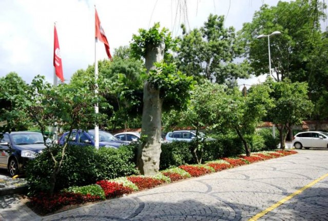 İstanbul Otoban yol ağaçlndırma Çalışmaları 2015