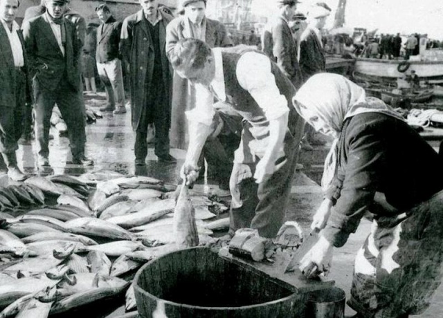 Bir Zamanlar Marmara, İstanbul Balık Manzara Fotoğrafları