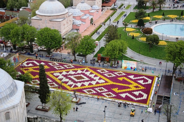 İstanbul Lale Festivali, Canlı Lale Halı Resimleri 2017