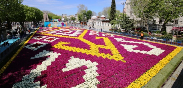 İstanbul Lale Festivali, Canlı Lale Halı Resimleri 2017