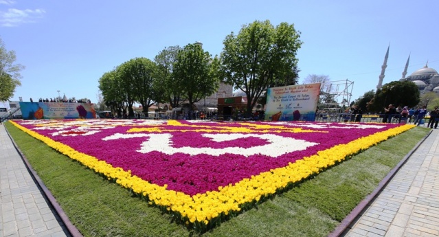 İstanbul Lale Festivali, Canlı Lale Halı Resimleri 2017