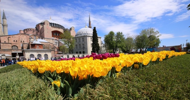İstanbul Lale Festivali, Canlı Lale Halı Resimleri 2017