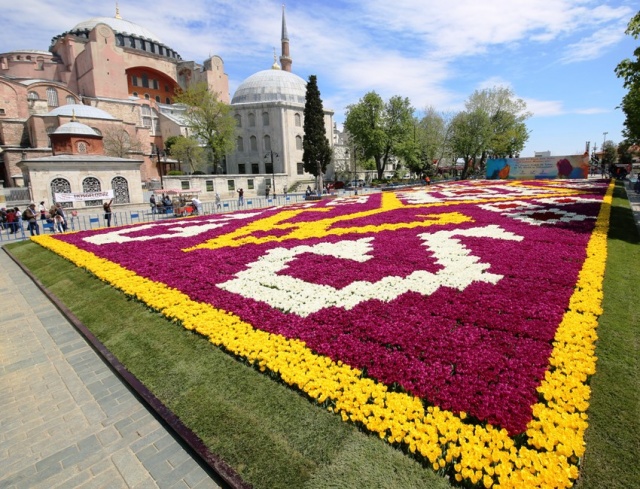 İstanbul Lale Festivali, Canlı Lale Halı Resimleri 2017