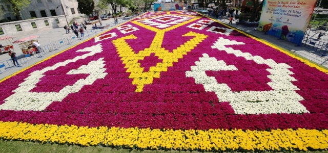 İstanbul Lale Festivali, Canlı Lale Halı Resimleri 2017