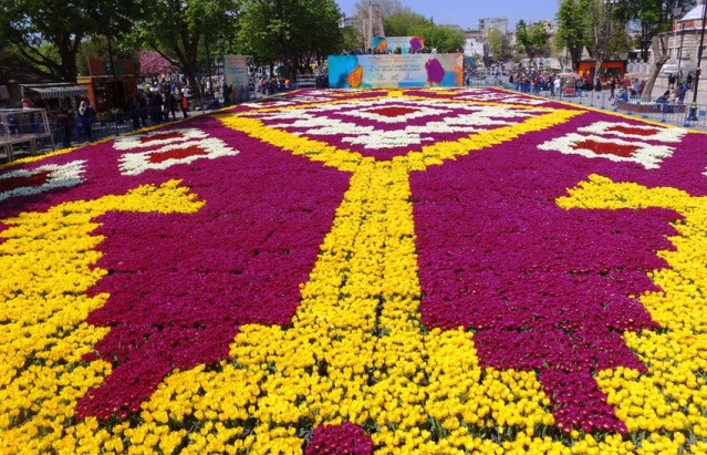 İstanbul Lale Festivali, Canlı Lale Halı Resimleri 2017