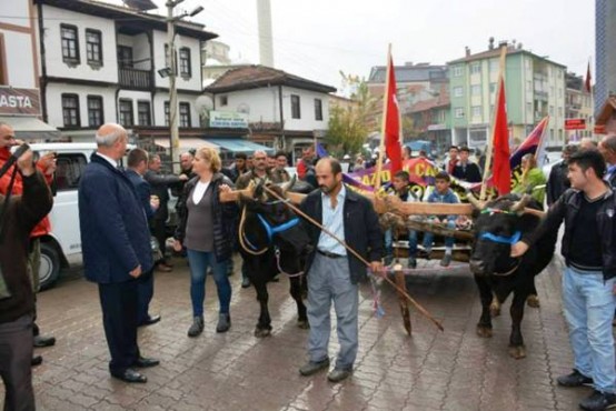 İstiklal Yolu Yürüyüşü, Ilgaz Çankırı  2014