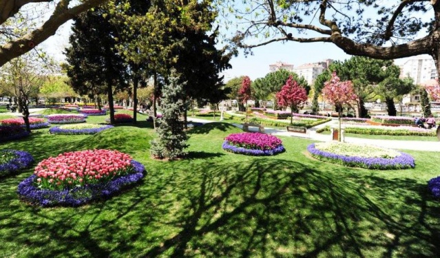 Kadıköy Göztepe Parkı Lale Resimleri 2017
