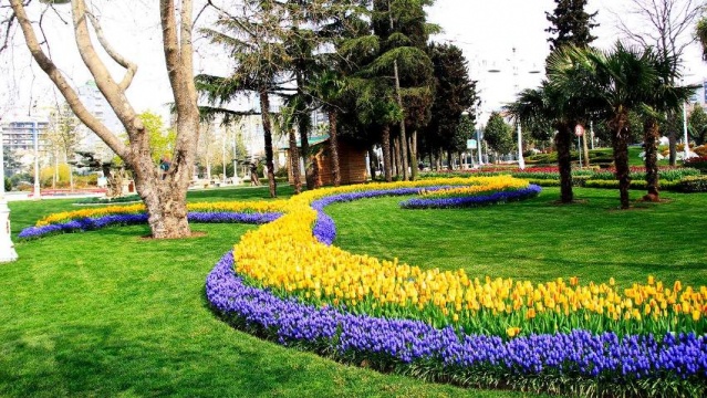 Kadıköy Göztepe Parkı Lale Resimleri 2017