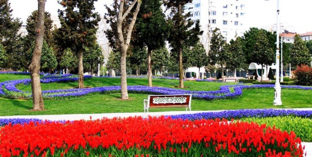 Kadıköy Göztepe Parkı Lale Resimleri 2017