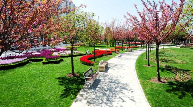 Kadıköy Göztepe Parkı Lale Resimleri 2017