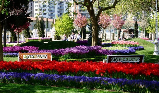 Kadıköy Göztepe Parkı Lale Resimleri 2017