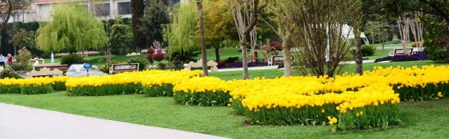 Kadıköy Göztepe Parkı Lale Resimleri 2017