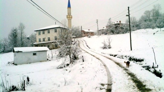 Kastamonu Kış Manzaraları