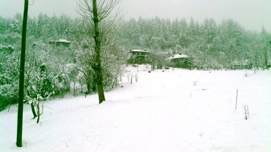 Kastamonu Kış Manzaraları