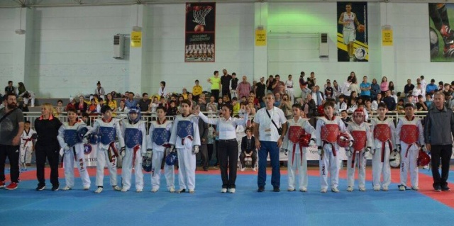ATAŞEHİR KAYMAKAMLIK KUPASI TAEKWONDO ŞAMPİYONASI 2017