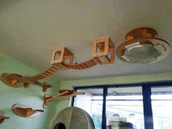 Kedi Evleri