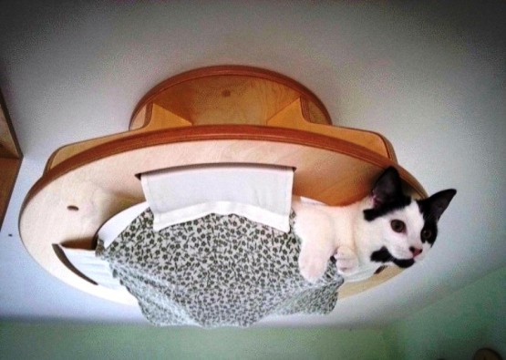 Kedi Evleri