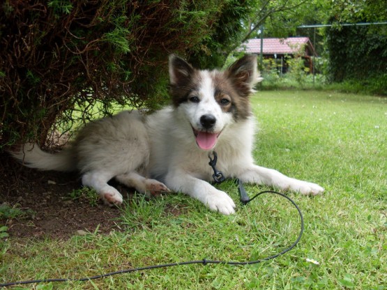 HAYVAN FOTOĞRAFLARI 2012