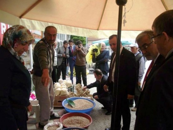 KURŞUNLU BAL FESTİVALİ 2014