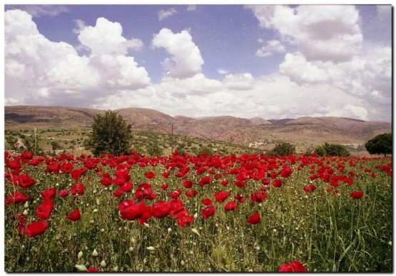 Malatya Fotoları