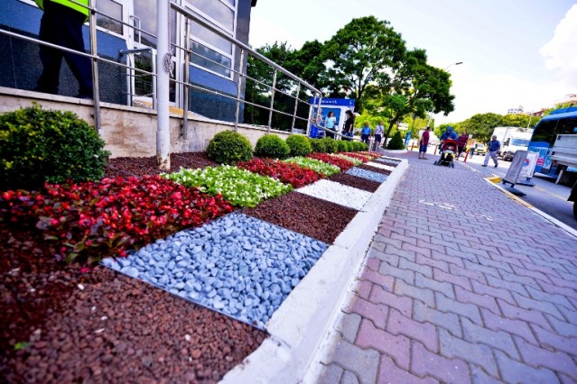 Maltepe Çiçek Açtı 2015
