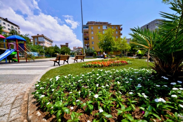 Maltepe Çiçek Açtı 2015