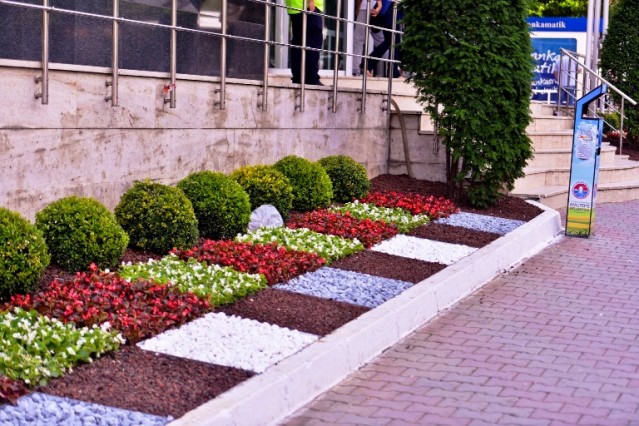 Maltepe Çiçek Açtı 2015