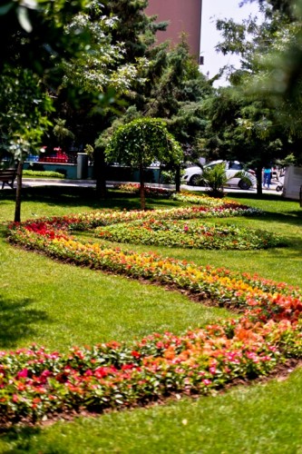 Maltepe Çiçek Açtı 2015