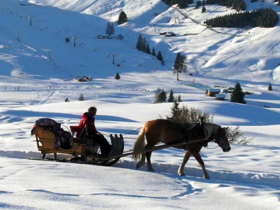 Manzara Resimleri 2015