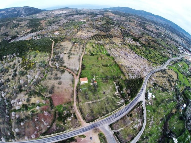 Muğla Datça Bahar Manzaraları 2016