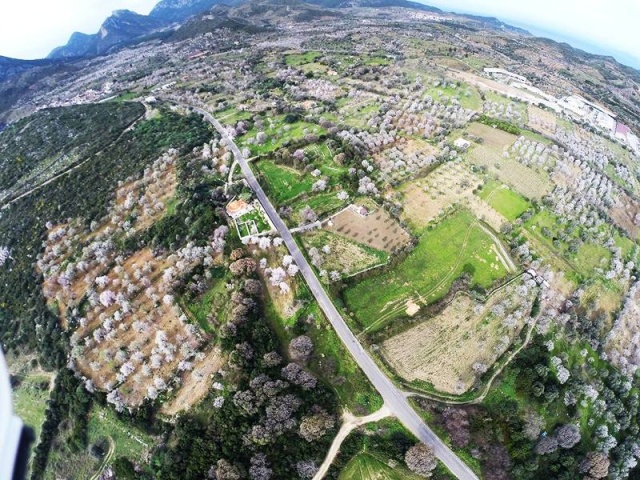 Muğla Datça Bahar Manzaraları 2016