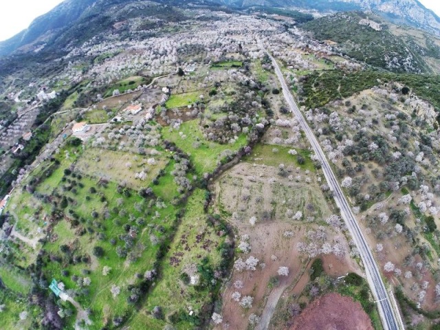 Muğla Datça Bahar Manzaraları 2016