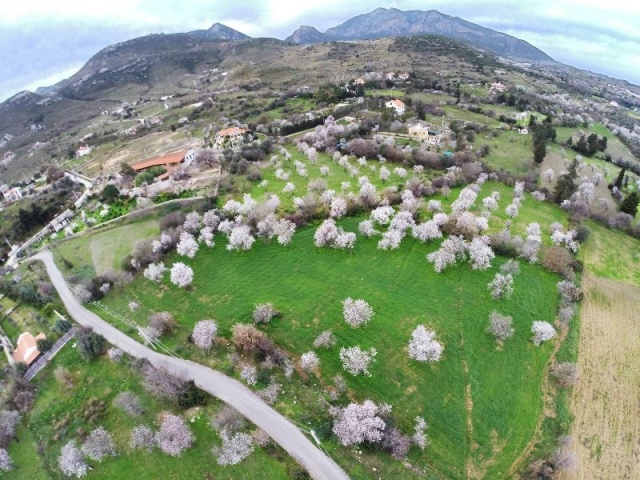 Muğla Datça Bahar Manzaraları 2016