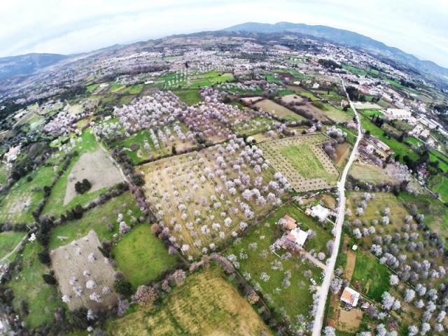 Muğla Datça Bahar Manzaraları 2016