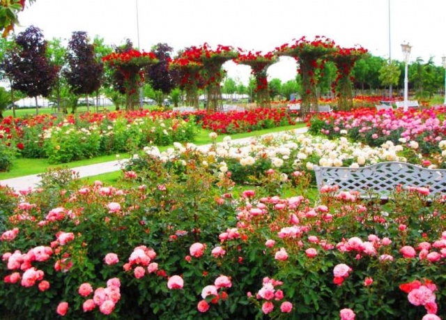 Park, Bahçe Peyzaj Resimleri 2019