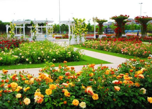 Park, Bahçe Peyzaj Resimleri 2019