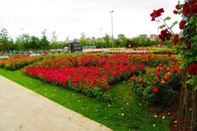 Park, Bahçe Peyzaj Resimleri 2019