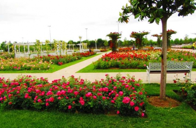 Park, Bahçe Peyzaj Resimleri 2019