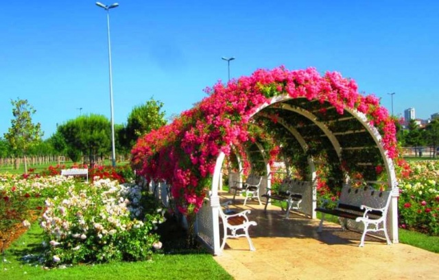 Park, Bahçe Peyzaj Resimleri 2019