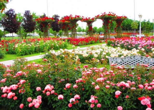 Park, Bahçe Peyzaj Resimleri 2019