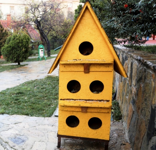 Renkli Kedi, Köpek Kulübeleri